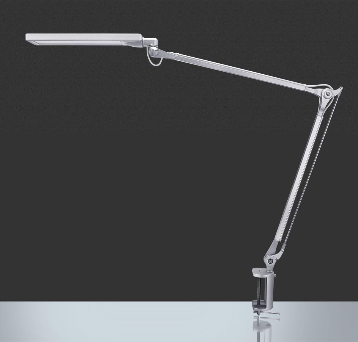 Silver Metal Swing Arm Desk Lamp with Clamp H967755